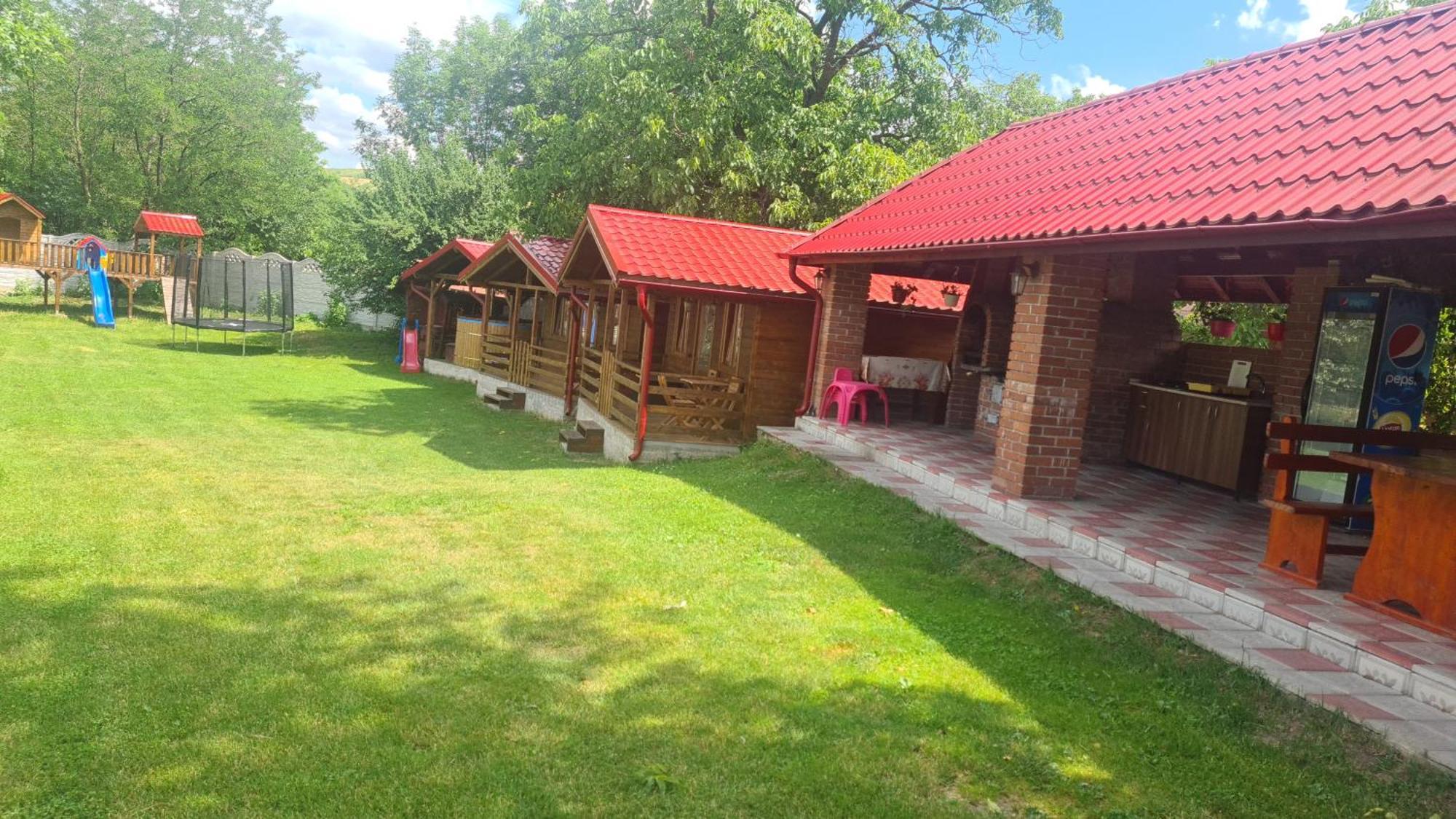 Cabanutele Din Lemn Villa Chiscau Eksteriør billede