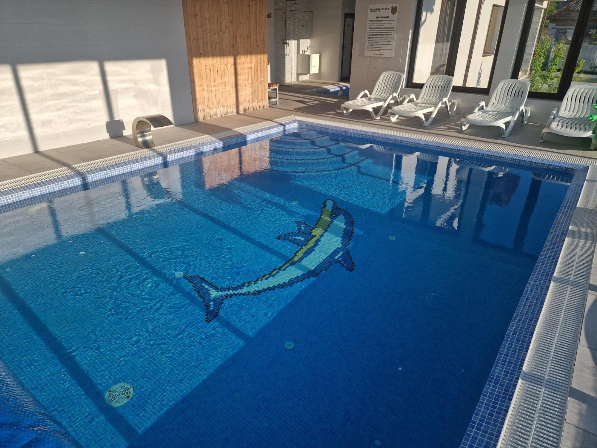 Cabanutele Din Lemn Villa Chiscau Eksteriør billede